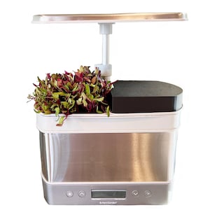May include: An AeroGarden with a stainless steel base, white trim, and a black top. The garden is filled with leafy greens with red and green leaves. A white light fixture extends above the plants. The control panel displays "AeroGarden".