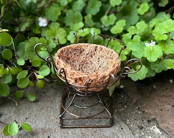 Miniature Wire Basket with Removable Insert