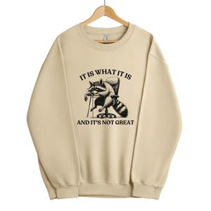 It Is What It Is And It Is Not Great Sweatshirt, Funny Sweatshirt Women,  Mental Health Sweatshirt,  Raccoon Sweatshirt, Gag Tee