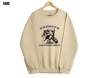 It Is What It Is And It Is Not Great Sweatshirt, Funny Sweatshirt Women,  Mental Health Sweatshirt,  Raccoon Sweatshirt, Gag Tee
