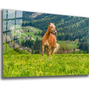 Tempered Glass Wall Art, Charming Horse in Mountain Landscape, Nature-Inspired Horse Wall Decor, Housewarming Gift, Wall Hangings
