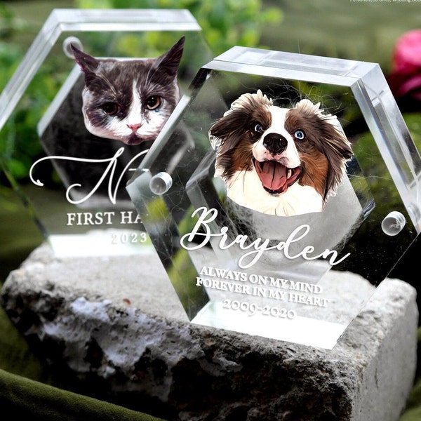 Recuerdo de piel de mascota con retrato, Caja conmemorativa de pelo de mascota personalizada, Regalos de pérdida de mascotas, Recuerdo de mascotas de acrílico, Regalos conmemorativos de perros y gatos, Recuerdo de dientes