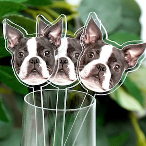Custom Pet Drink Stirrers, Custom Wedding Stir Sticks, Cocktail Stirrers with Dog Drink Face, Signature Pet Drink, Acrylic Cocktail Stirrers
