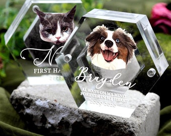 Pet Fur Keepsake with Portrait, Custom Pet Hair Memorial Box, Pet Loss Gifts, Acrylic Pet Remberance, Dog Cat Memorial Gifts, Tooth Keepsake