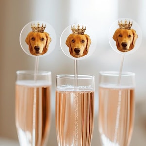 Custom Pet Portrait Photo Drink Stirrers, Custom Wedding Stir Sticks, Acrylic Cocktail Stirrers with Pet Portrait, Signature Pet Drink