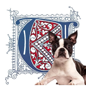 TAXA DE DESIGN