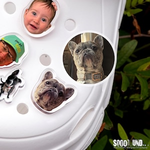 May include: White shoe with several clear charms attached. Charms include a baby's face, a person wearing a green hat, a small black and white dog, and two images of a French Bulldog. The shoe has a textured surface.