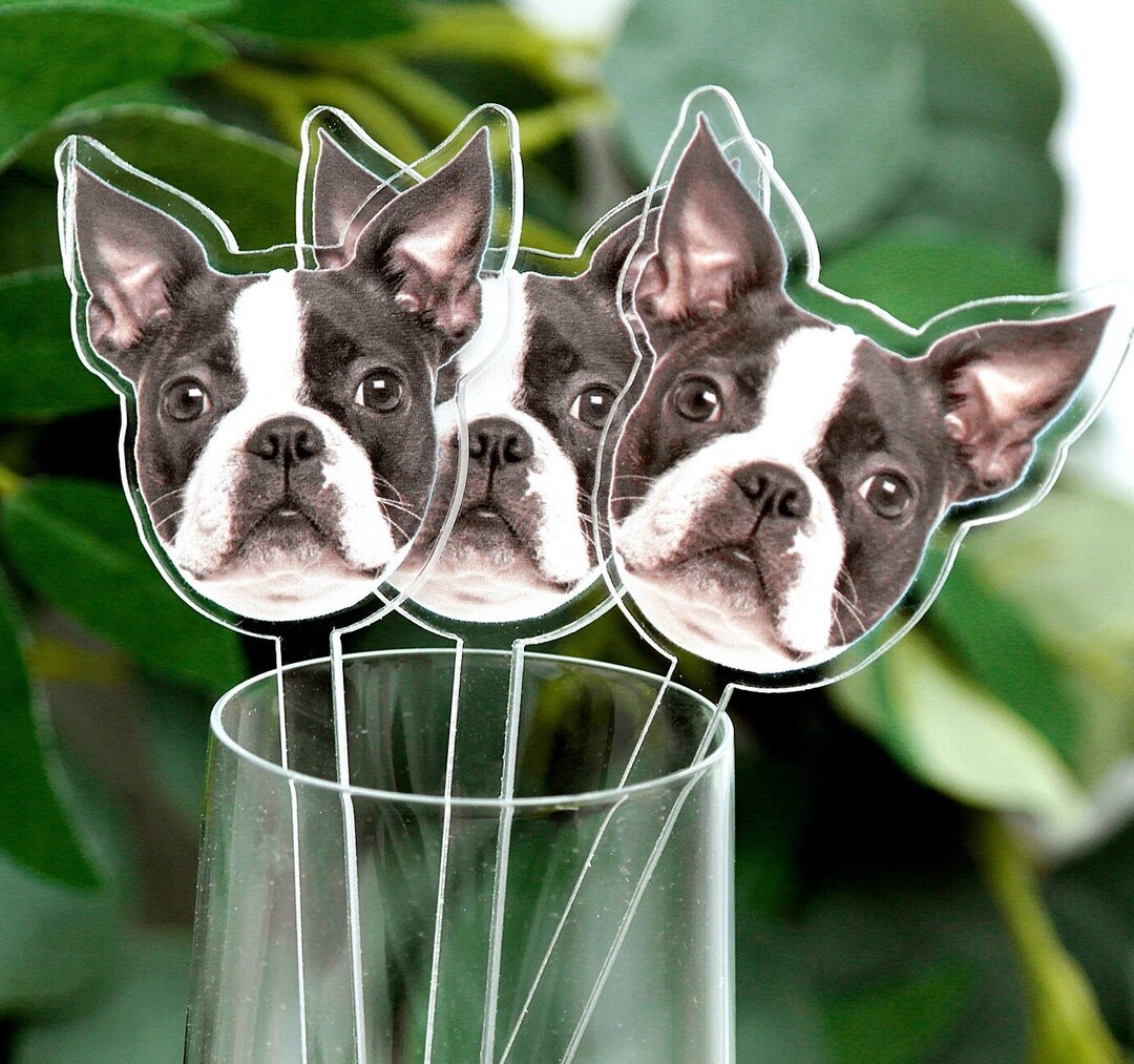 Custom Pet Drink Stirrers, Custom Wedding Stir Sticks, Cocktail