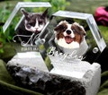 Pet Fur Keepsake with Portrait, Custom Pet Hair Memorial Box, Pet Loss Gifts, Acrylic Pet Remberance, Dog Cat Memorial Gifts, Tooth Keepsake product logo