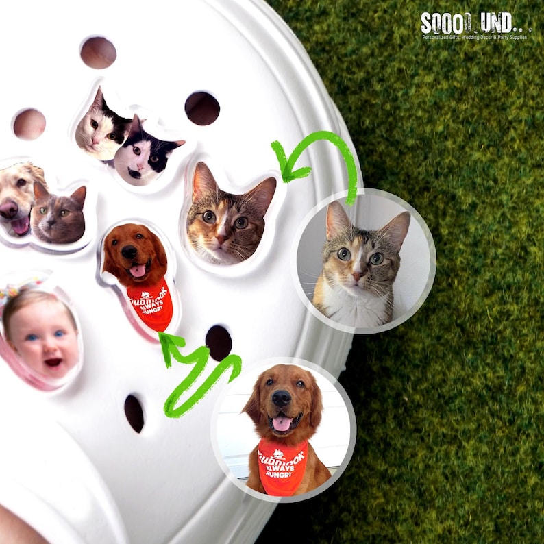 May include: White shoe with various pet-themed charms, including cats, dogs, and a baby. The charms are round and feature close-up images of the pets. One dog charm has a red bandana that says "Always Hungry".
