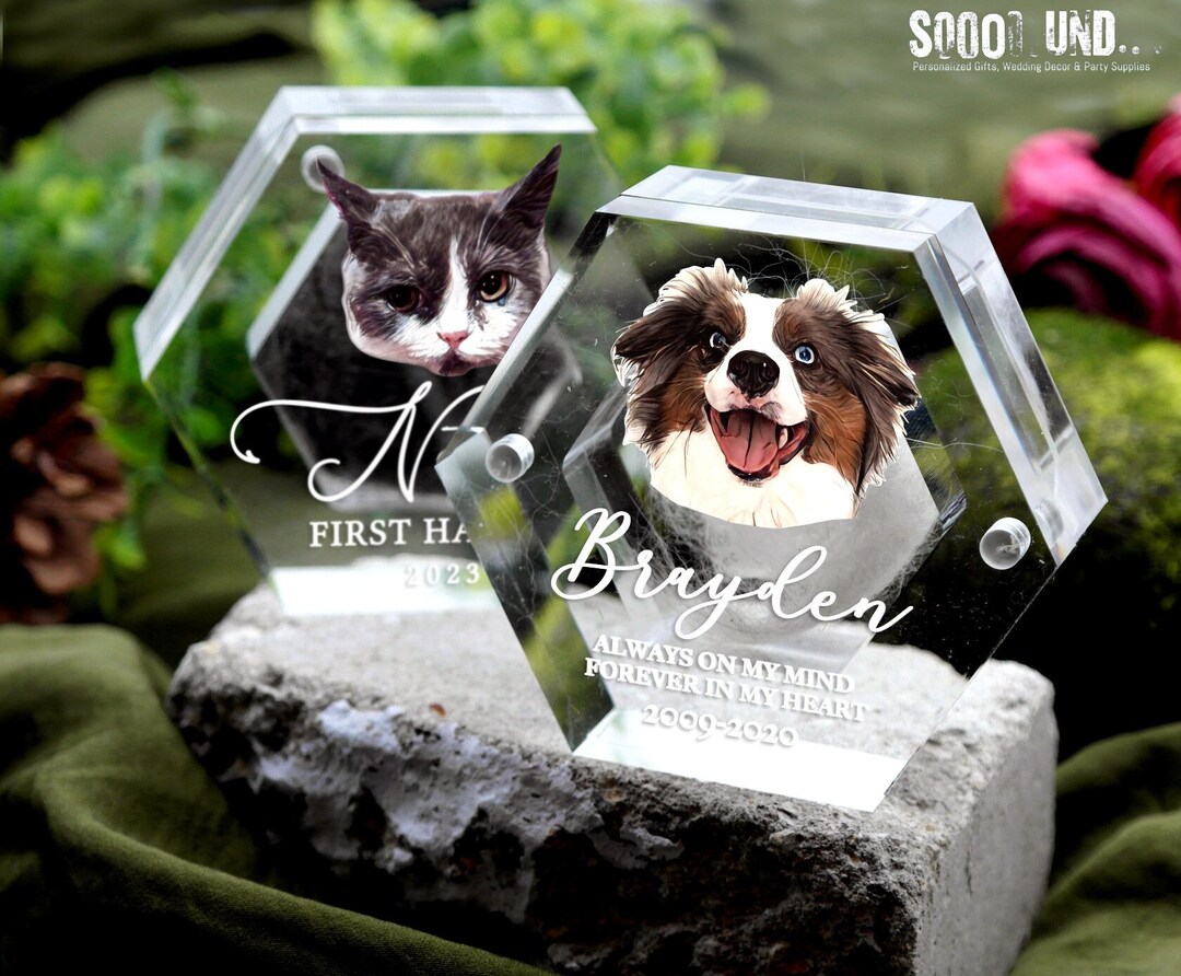 Pet Hair Memorial Keepsake Box With Acrylic Lid - Hexagonal Wooden Box For Dog Or Cat Fur, Ashes, & Memories