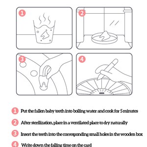 Puede incluir: Una gu&iacute;a de cuatro pasos sobre c&oacute;mo conservar los dientes de leche. Los pasos se ilustran con dibujos. Los pasos son: 1. Poner los dientes de leche ca&iacute;dos en agua hirviendo y cocinar durante 5 minutos. 2. Despu&eacute;s de la esterilizaci&oacute;n, colocar en un lugar ventilado para que se sequen naturalmente. 3. Insertar los dientes en los agujeros peque&ntilde;os correspondientes de la caja de madera. 4. Anotar la hora de la ca&iacute;da en la tarjeta.