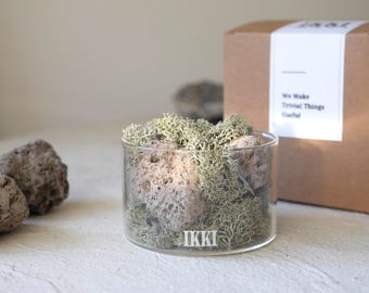 Petite Moss Jar: Lava Stone Terrarium, Home Decor Centerpiece