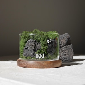 May include: A small glass terrarium with a wooden base. The terrarium is filled with green moss and a black rock with two white eyes. The text "IKKI" is printed on the bottom of the terrarium.