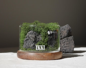 Handmade Preserved Moss Forest Jar: Lava Stone Scent Diffuser