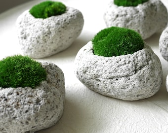 Preserved Moss Stone Pot: Unique Home Decor, No Care Needed
