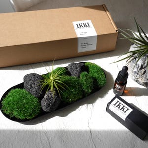 May include: An oval black tray containing green moss, black volcanic rocks, and an air plant. Beside it sits a brown cardboard box labeled IKKI From the Earth, a small amber glass dropper bottle, and a black box with the IKKI From the Earth logo.