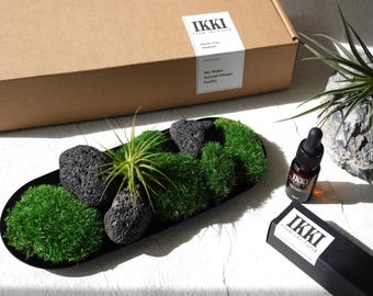 Black Tray Garden: Preserved Moss, Lava Stone, Air Plant