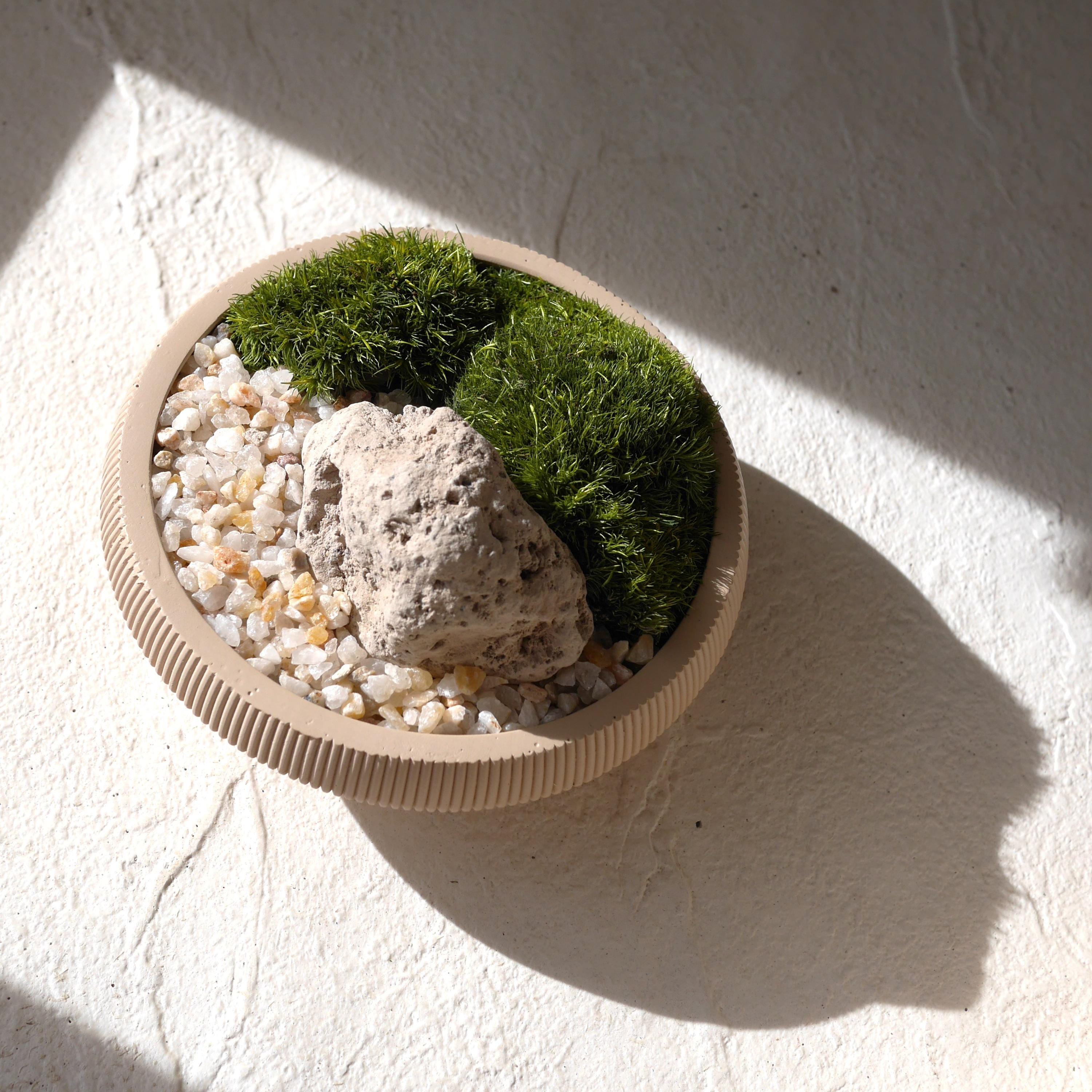 一石二鳥オブジェ♡鉢付き♡ノーム♡置物♡1点物ॱ⋅.˳˳.⋅˙ॱᐧ.˳˳.⋅ઇଓ IKKIPLANTS - Etsy