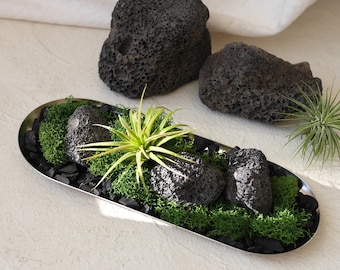 Silver Tray Air Plant Diffuser: Preserved Moss & Lava Rock Centerpiece