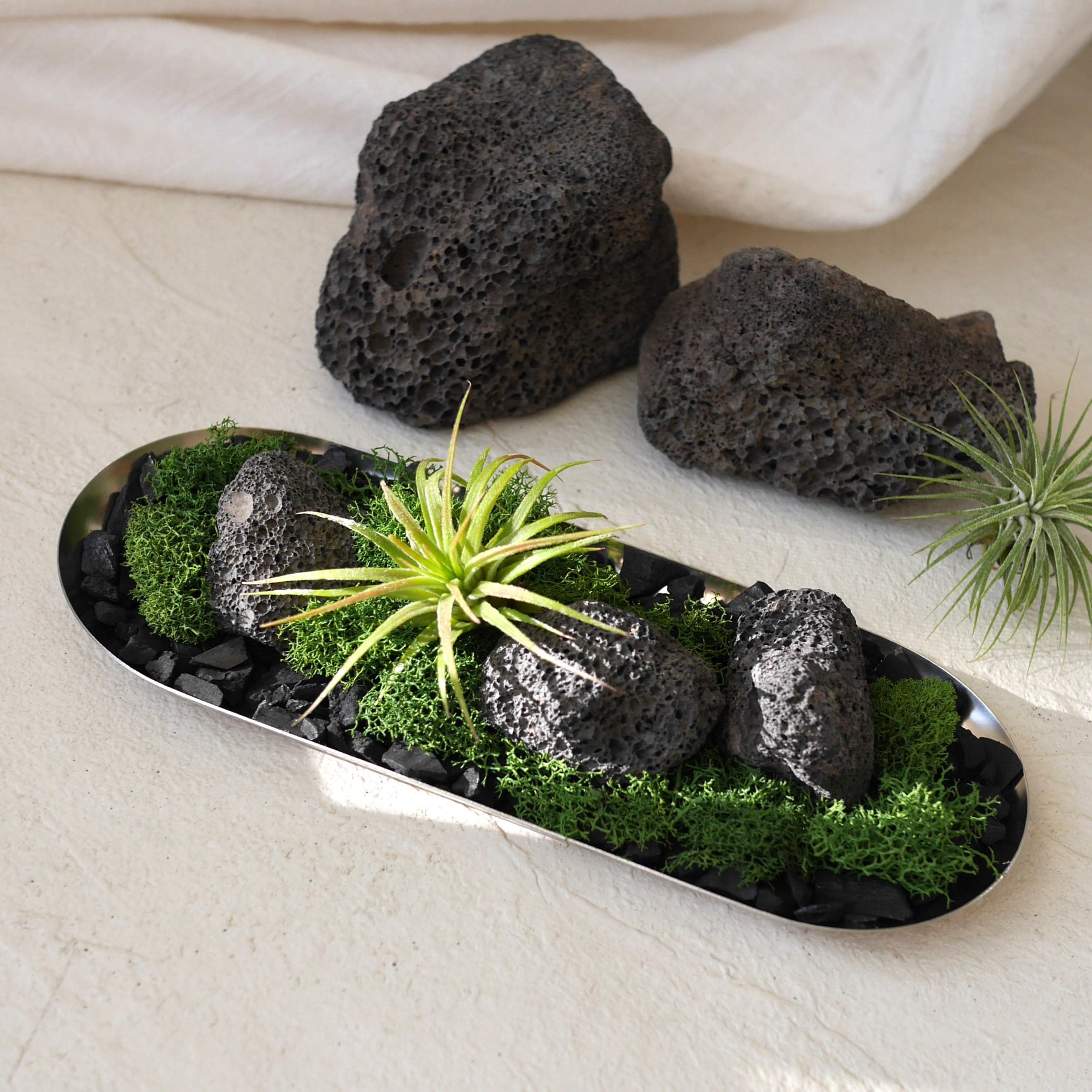 一石二鳥オブジェ♡鉢付き♡ノーム♡置物♡1点物ॱ⋅.˳˳.⋅˙ॱᐧ.˳˳.⋅ઇଓ IKKIPLANTS - Etsy