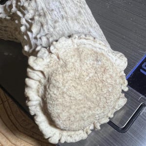 Puntas de asta de alce y alce de Arizona: marrón rojizo de grado A - Material del mango del cuchillo