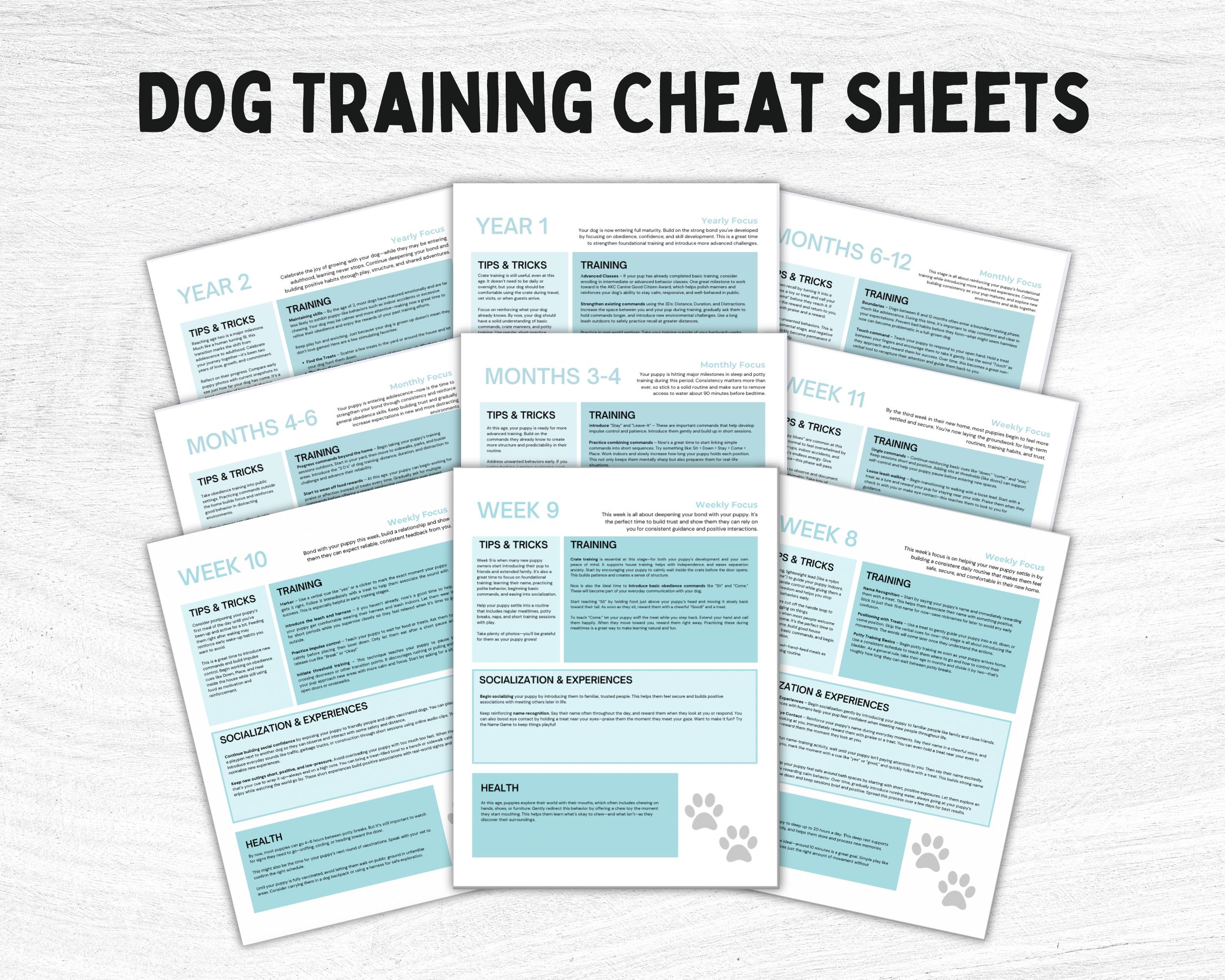 Schedule How To Train Your Dog To Potty Train Puppy Schedule How