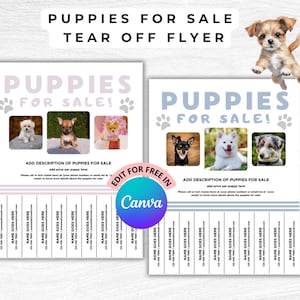 Welpen zum Verkauf Flyer Vorlage, bearbeitbares Abreißhund-Verkaufsplakat, Canva PDF, Welpenstreu-Werbung, Hundeadoptions-Flyer, Marketing-Flyer