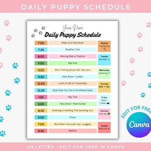 Peut inclure: Un emploi du temps quotidien pour chiots imprimable sur papier US Letter. L'emploi du temps comprend les heures de réveil, de repas, de jeu, d'entraînement et de coucher. Le texte "Edit for Free in Canva" est en bas à droite.