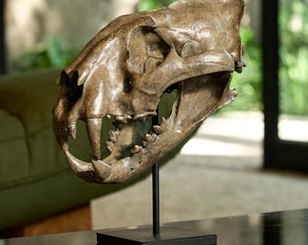 最後の1点、発送準備完了！博物館品質の壁掛けスピノサウルスの頭蓋骨