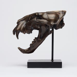 Bronze Sumatran Tiger Skull Sculpture | Unique Animal Skull Decor for Home, Office, or Shelf