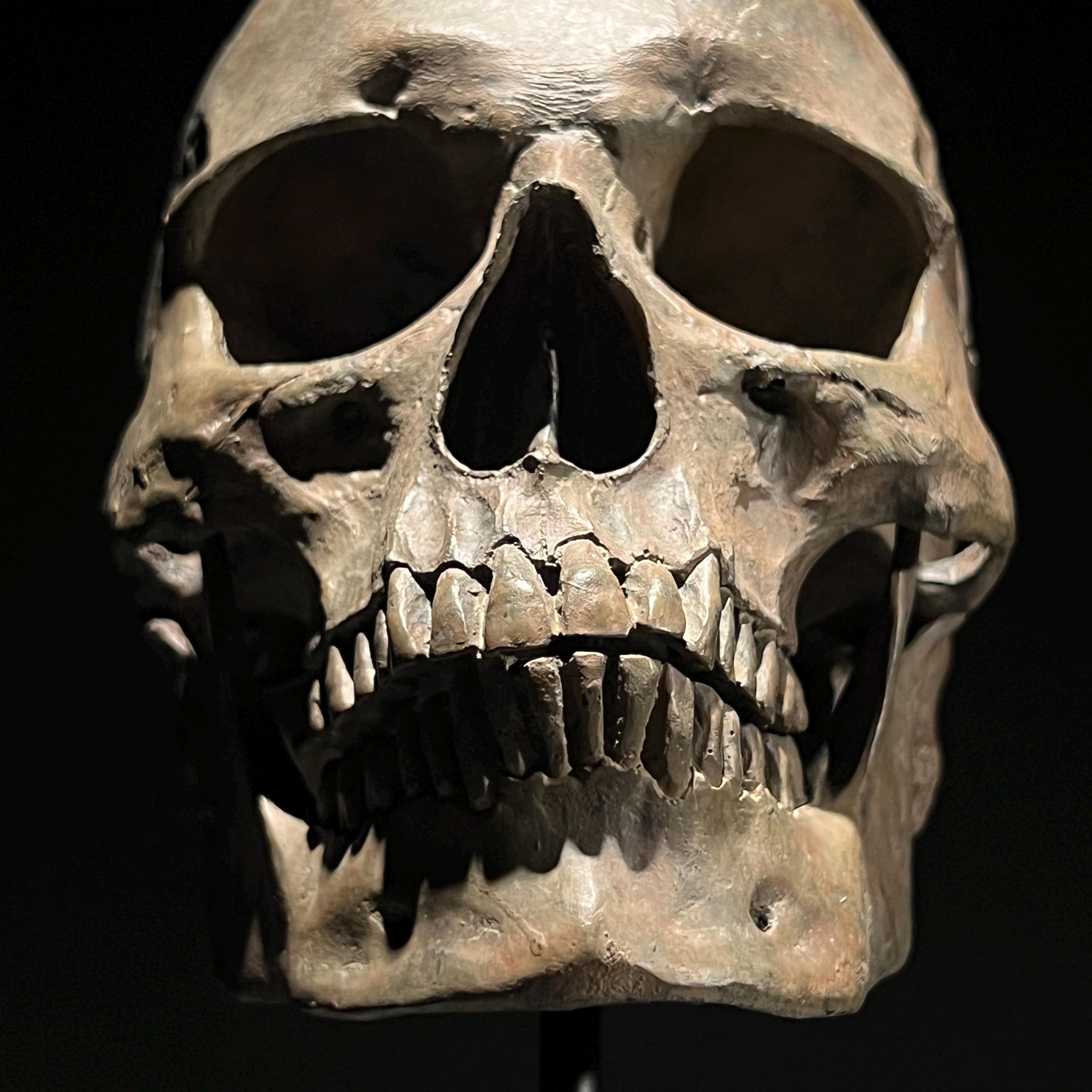 Brown Human Skull on Stand - Resin Sculpture - Modern Home Decor Accent
