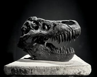 Black T-Rex Skull Resin Sculpture - Dinosaur Fossil Replica - Modern Home Decor Accent