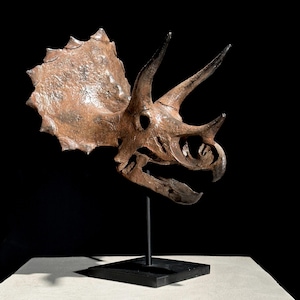 Brown Triceratops Skull Resin Sculpture - Dinosaur Fossil Replica - Modern Home Decor Accent