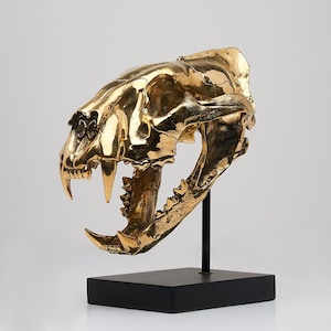 Polished Sumatran Tiger Skull Sculpture | Unique Animal Skull Decor for Home, Office, or Shelf