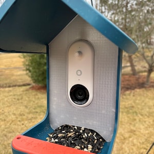 May include: A blue bird feeder with a white and gray camera mounted on the front. The feeder is filled with black and white birdseed.