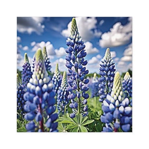 Texas Bluebonnets Square Stickers, Indoor\Outdoor