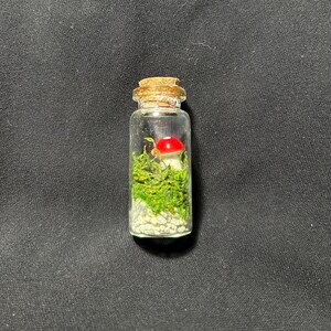 Miniature Glass Terrarium w/Red Mushroom
