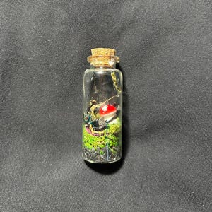 Miniature Glass Terrarium w/Red Mushroom