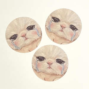 sad kitty sticker
