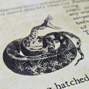 Puede incluir: Ilustración detallada en blanco y negro de una serpiente enroscada sobre papel envejecido. La imagen está rodeada de texto impreso, creando una estética vintage. Las escamas y la postura de la serpiente están meticulosamente representadas.