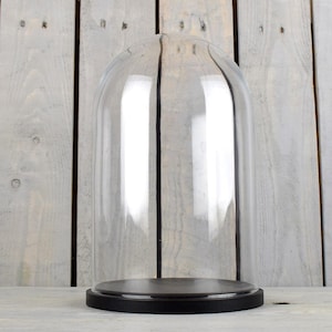 EMH Medium Glass Dome Display Cover Cloche With Black Base 31 x 15 cm
