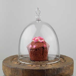 Small Glass Display Cover Cloche Dome With Knob H:16.5 cm x 13.5 cm
