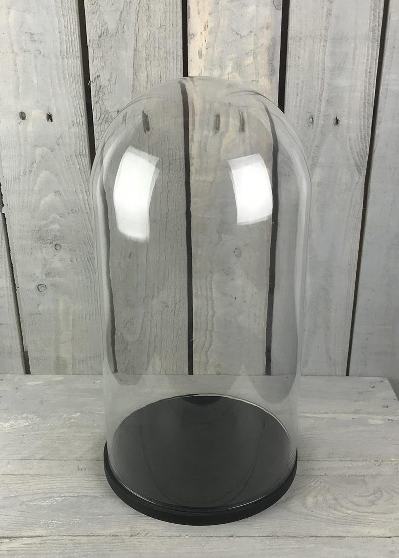 Large Display Covers EMH Large Glass Dome Display Cover Cloche Black Base Height 51.5 X 21 ...