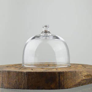 EMH Handgefertigte Glasabdeckung Cloche Glockenkuppel Mit Knopf Groß 9 cm x 10,5 cm