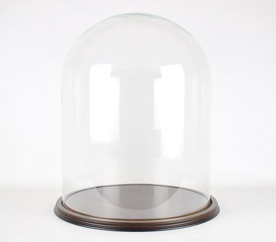 Große Cloche Glasglocke mit Holzfuß Vintage Look 50 x 40 cm