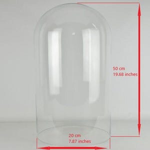 EMH Large Handmade Clear Circular Glass Display Cloche Bell Jar Dome 50 x 20 cm