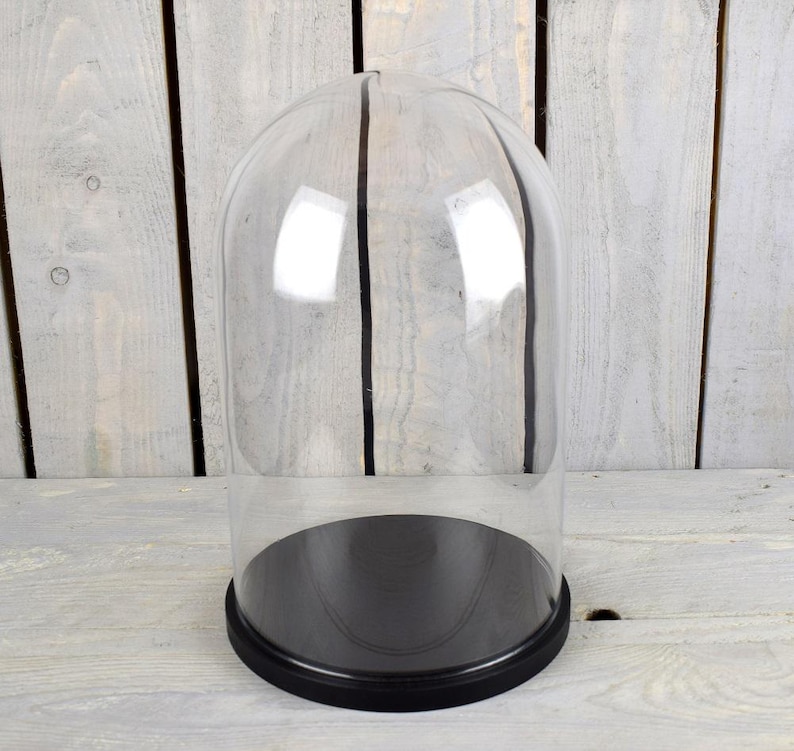 Dôme En Verre Soufflé Main 20x10 Cm - Cloche Pour Protéger Et Exposer Objets