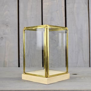 Glass and Brass Display Showcase Box Dome with Wooden Base Tall 17.5 cm
