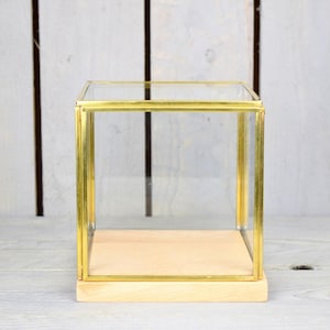 Glass and Brass Display Showcase Box Dome with Wooden Base 15.5 cm